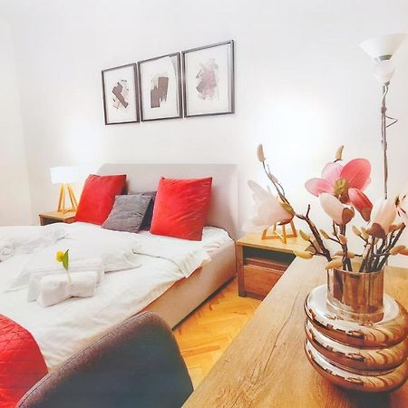 Spacious 5* Luxury In Historic Center Free Parking 클루지나포카 외부 사진