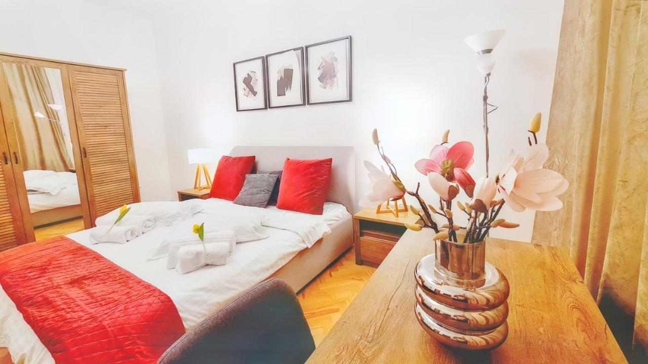 Spacious 5* Luxury In Historic Center Free Parking 클루지나포카 외부 사진